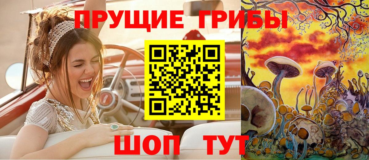 Псилоцибиновые грибы мухоморы  Вход с VPN  Псилоцибиновые грибы GOLDEN TEACHER  Красноперекопск 